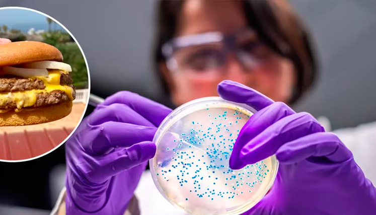 ¿Qué es la E. coli y cómo afecta a los clientes de McDonald’s en EE.UU.?