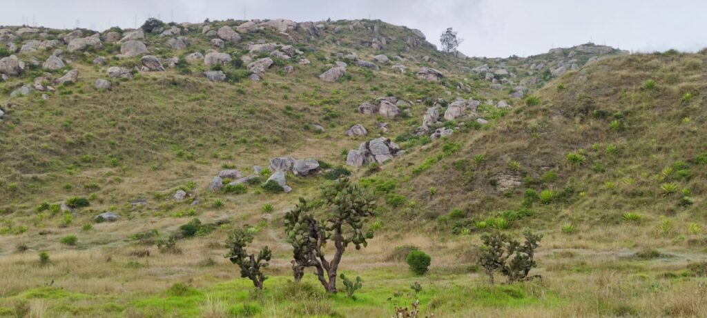 Soacha busca rescatar el 2% que queda de la reserva Matorral Altoandino