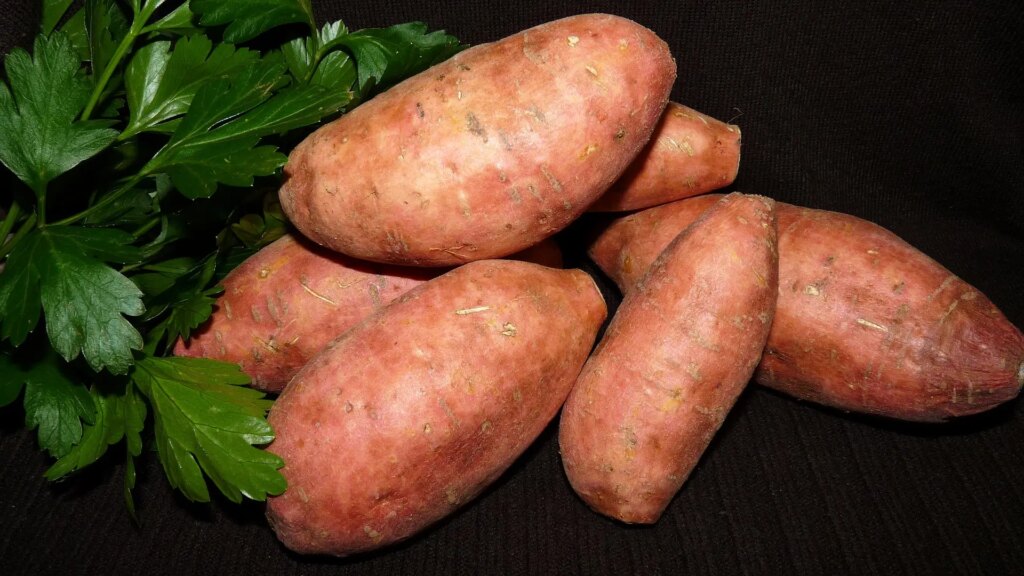 Estas son las personas que no deberían comer batata