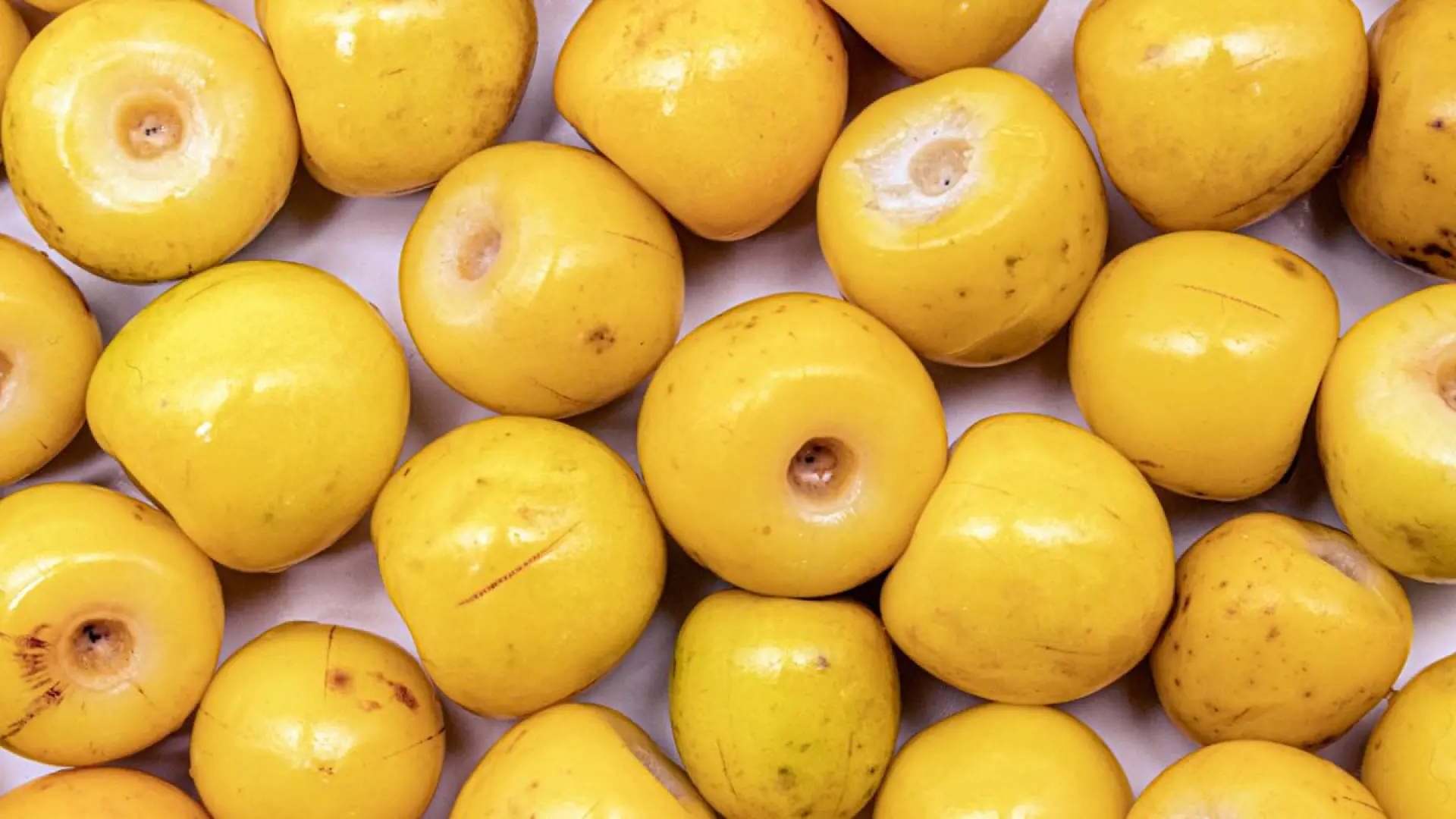 el alimento con colágeno que mantiene la piel suave y combate las arrugas