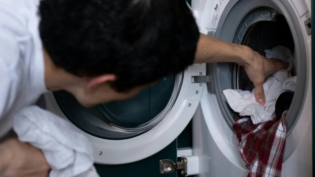 es el caldo de cultivo perfecto para las bacterias
