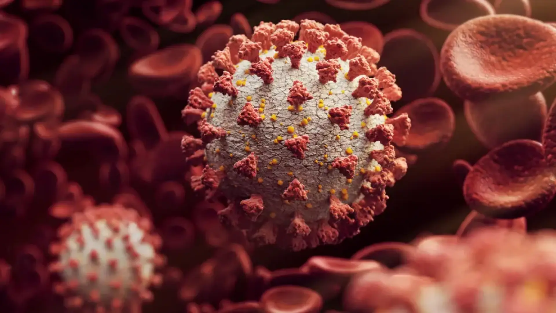 El inusual síntoma que presenta la nueva variante XEC del coronavirus, que será la dominante este invierno