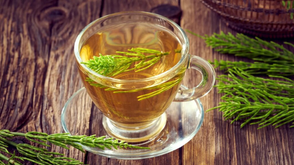 La infusión popular en España que ayuda a prevenir la osteoporosis