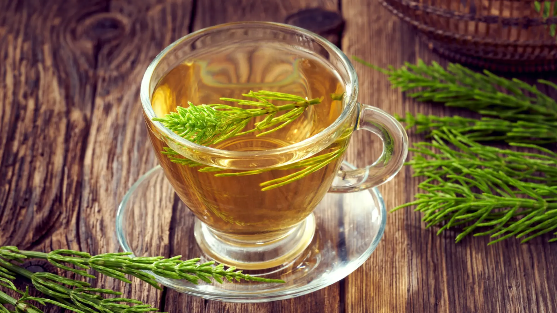 La infusión popular en España que ayuda a prevenir la osteoporosis