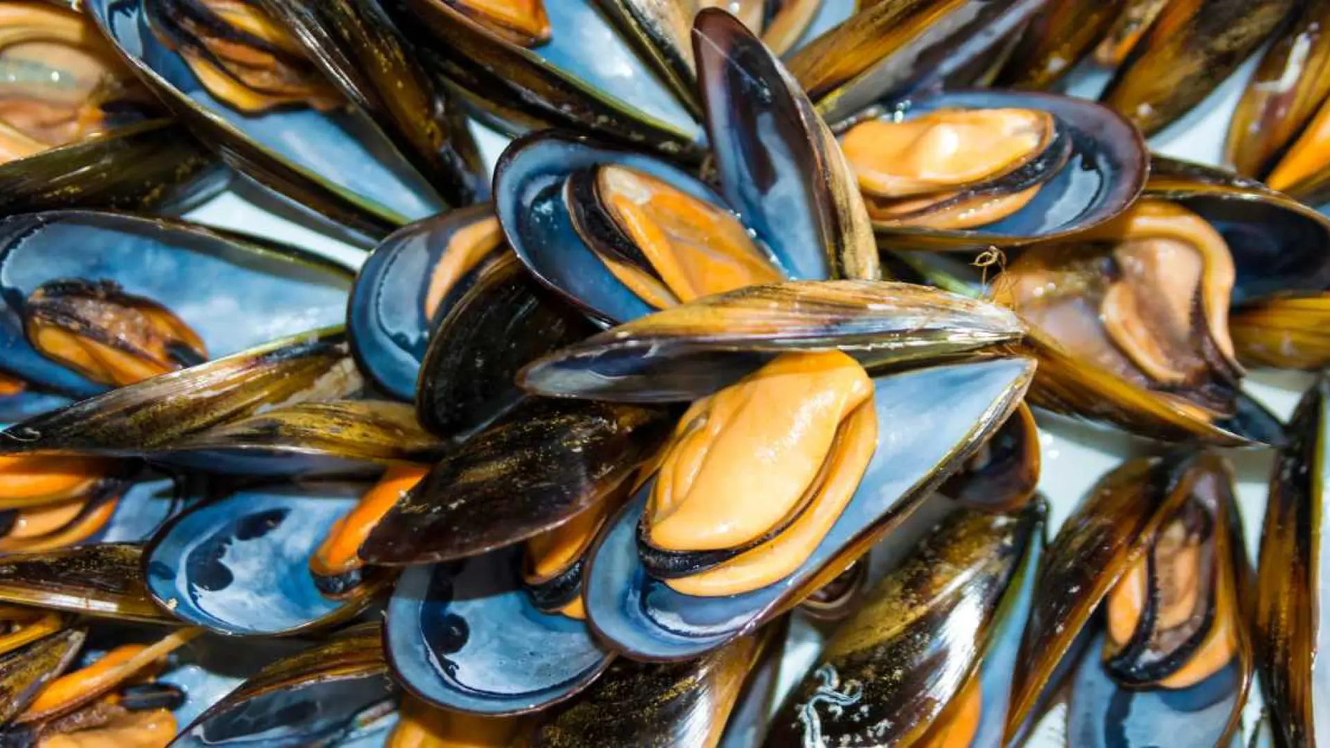 El mineral que contienen los mejillones y que protege del temido mercurio de los pescados grandes