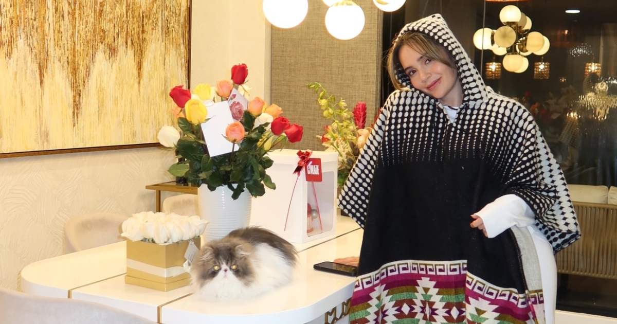 Lina Tejeiro mostró su ÁRBOL DE NAVIDAD: así lo decoró