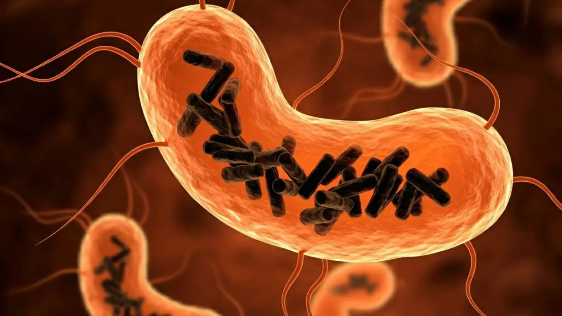 qué es son los 'obeliscos', un tipo de ser vivo recién descubierto que habita el cuerpo humano