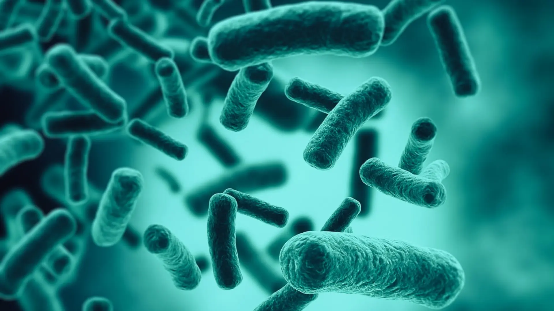 "La microbiota tiene impacto hasta en el estado de ánimo y la salud mental"