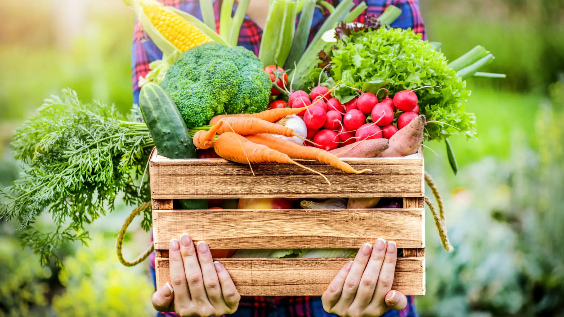 estas son las dos verduras que más bajan la presión arterial según la ciencia