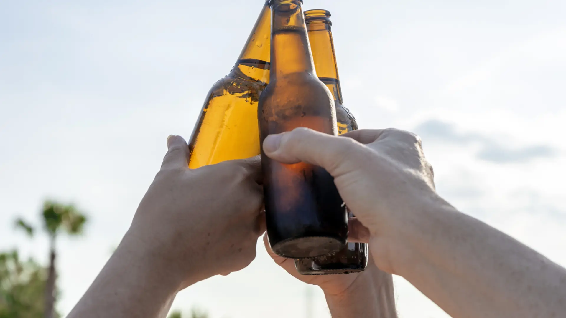 estas son las mejores bebidas para cuidar tu corazón y limpiar tus arterias