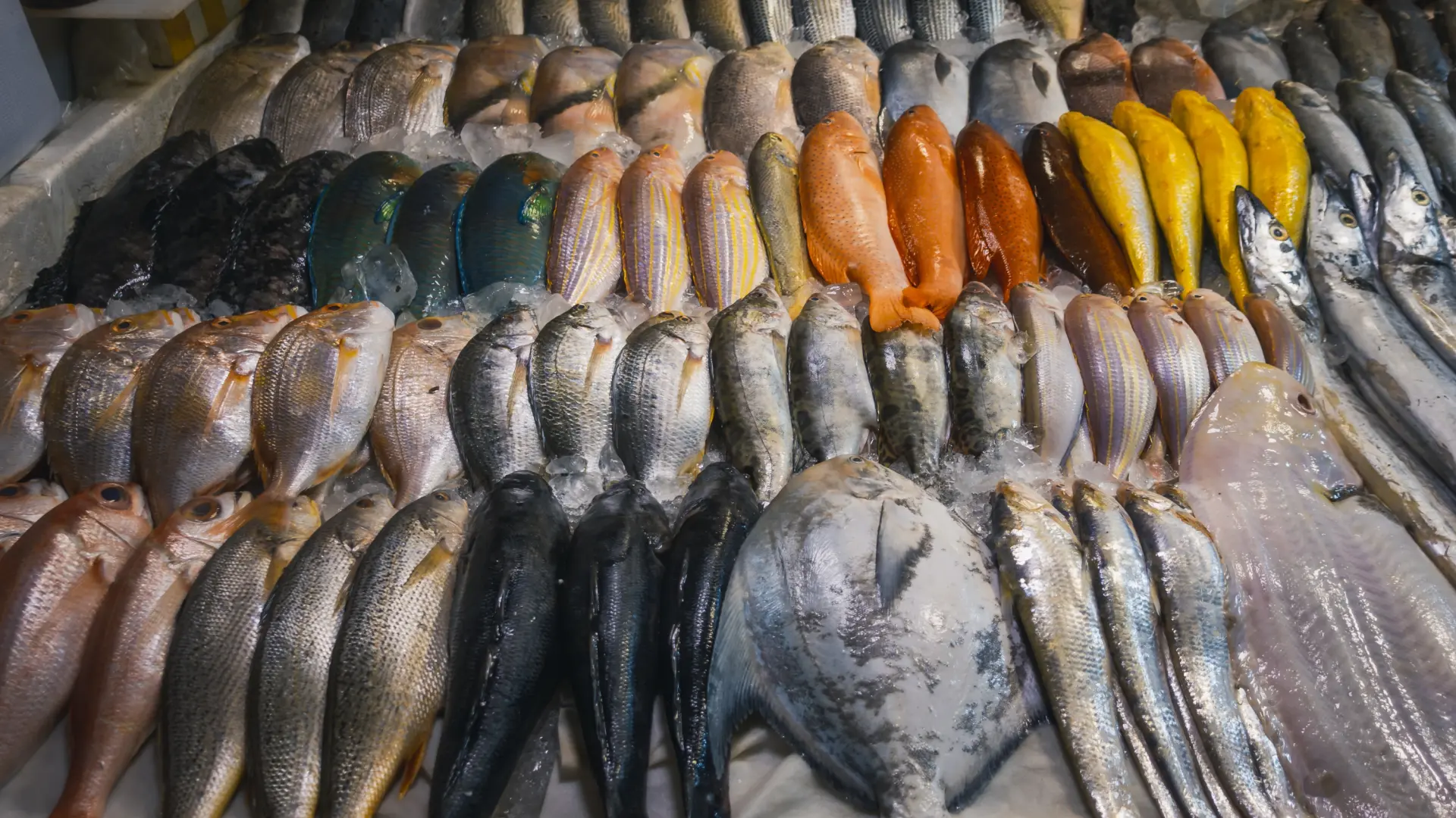la intoxicación alimentaria que va en aumento en Europa