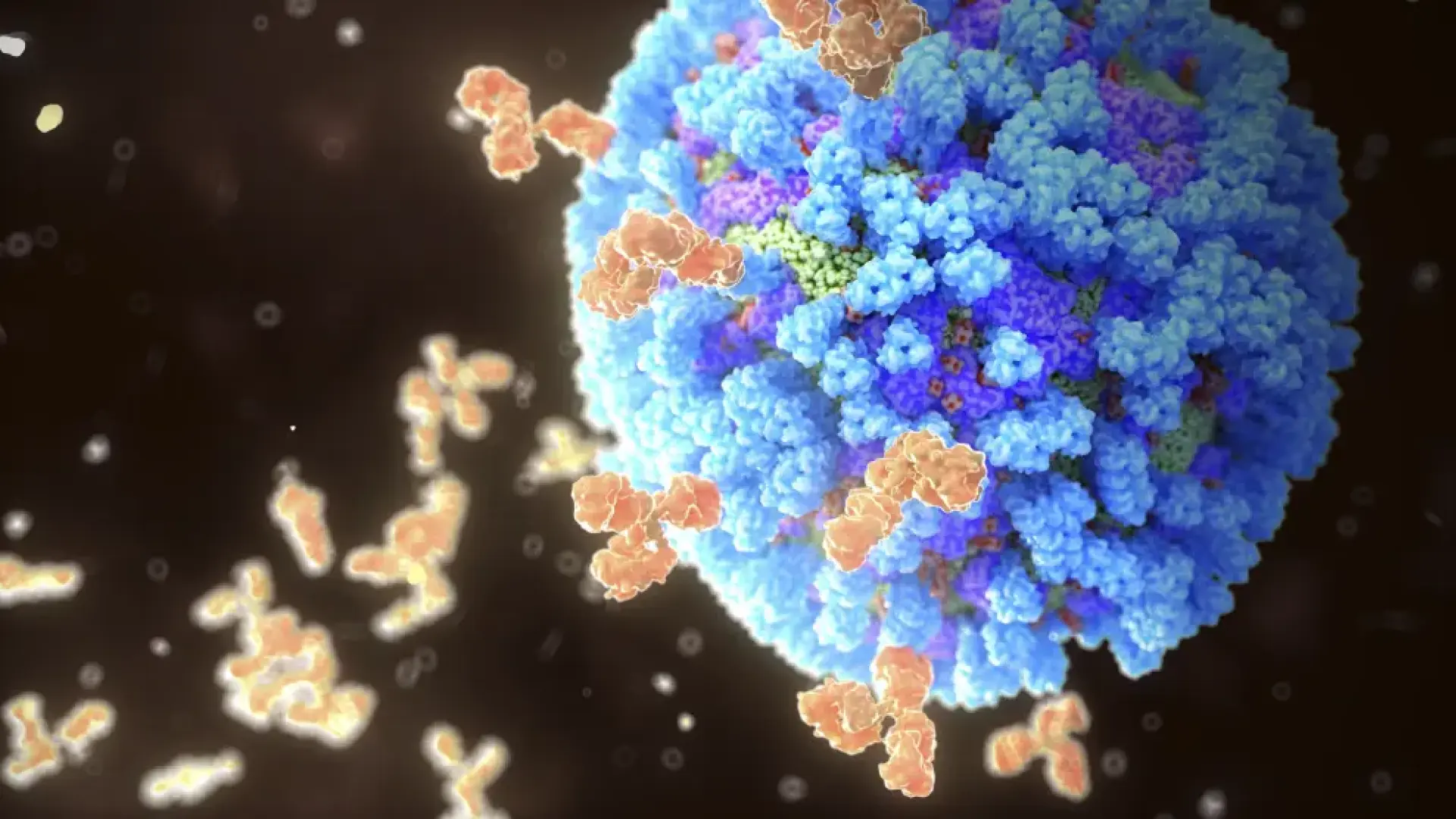 por qué no debemos tomar antibióticos según este médico de familia
