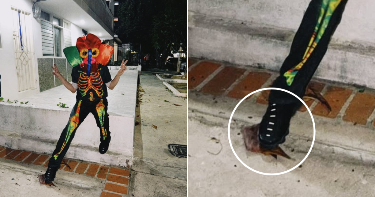 Piden millonada por HOJA que pisó SHAKIRA en Barranquilla