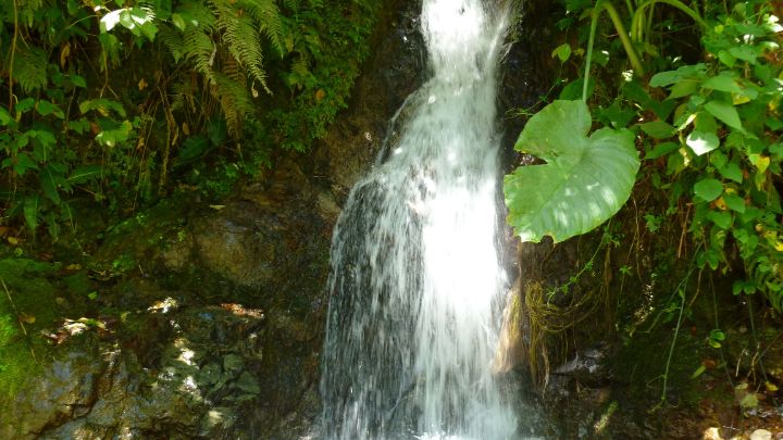 Hoy se celebra el Día Mundial del Agua con una jornada ambiental que busca integrar a los cucuteños