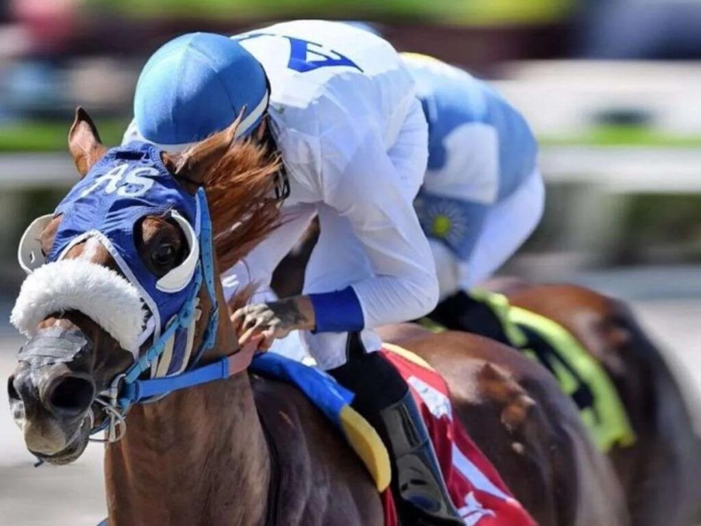 Il Miracolo se pone a tono para correr en Meydan