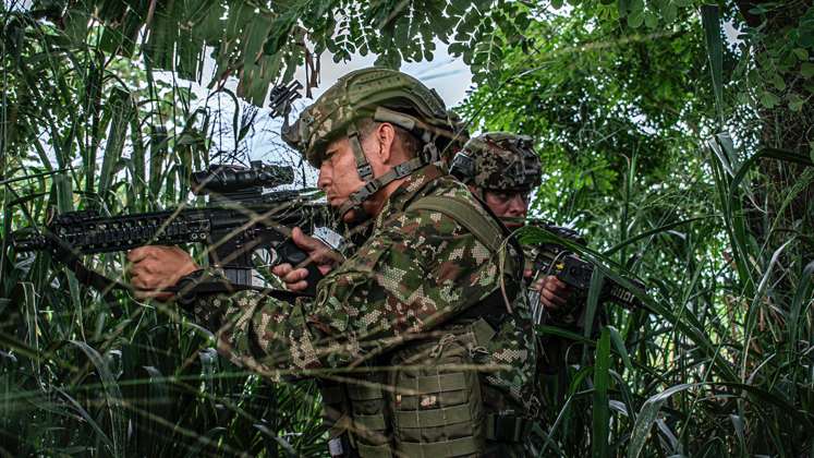 cuatro integrantes del Eln muertos en zona rural de Tibú