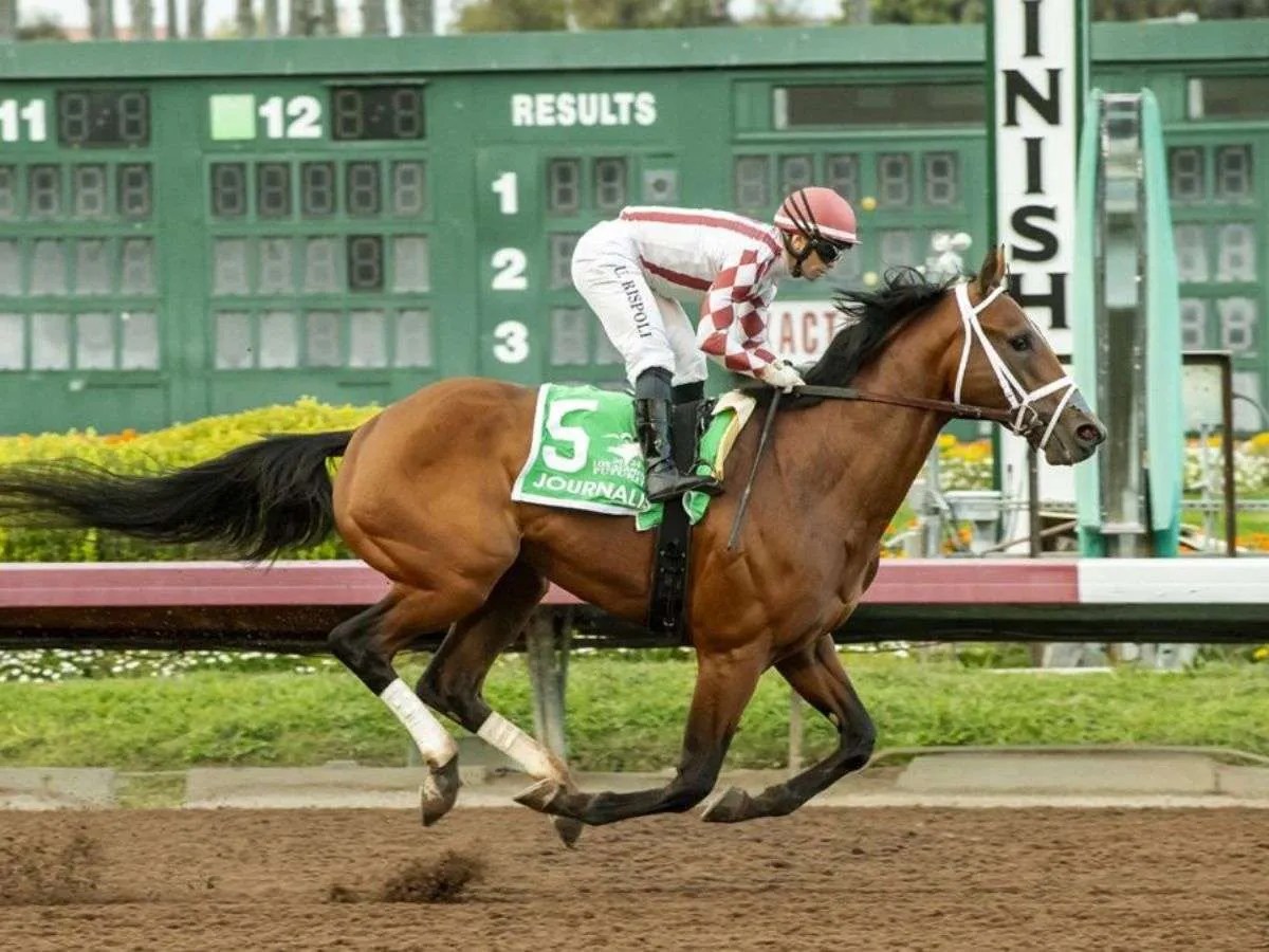 Journalism va mañana por el Santa Anita Derby
