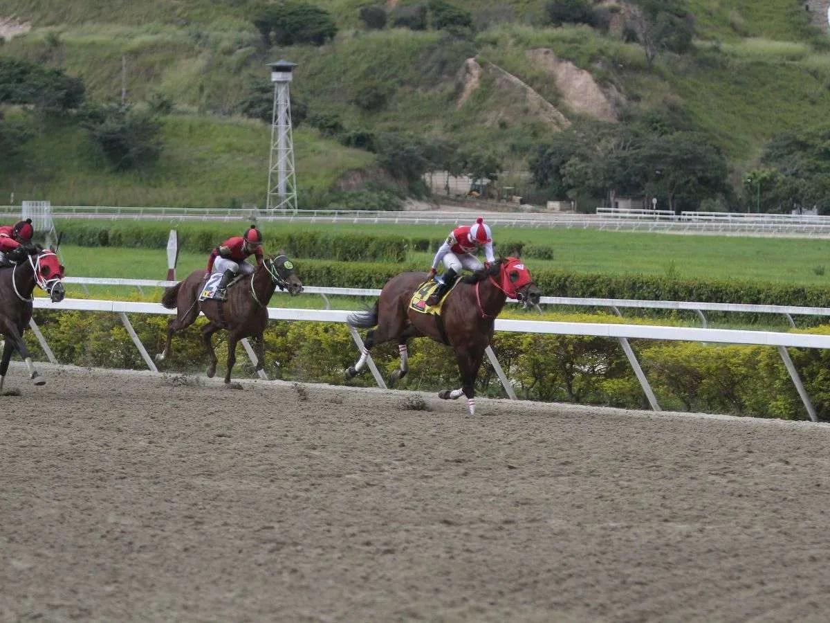 Tuco Salamanca y Juan Valdez van contra los criollos