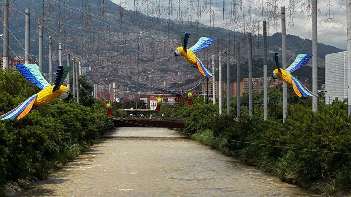 Fecha del encendido de los alumbrados navideños en Medellín 2025