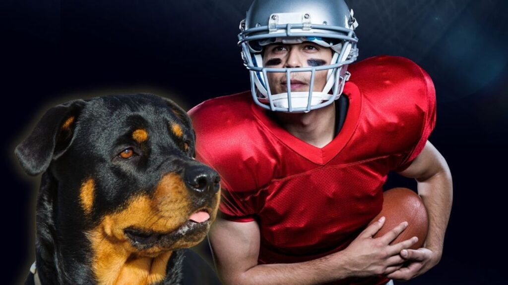 Reconocido deportista confesó que clonó a su mascota con biotecnología avanzada