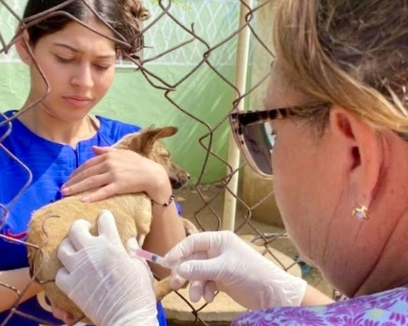 Ministerio de Salud y Gobernación del Zulia impulsan Plan de Vacunación Canina