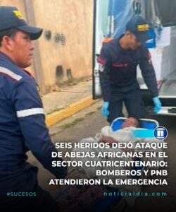 Ataque de abejas africanas en Maracaibo deja seis heridos