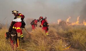 Tragedia en Almería: Incendio forestal fuera de control deja al menos 11 fallecidos y 19 desaparecidos